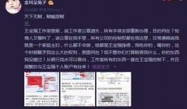 马蓉深夜爆料视频,婚姻真相与情感纠葛